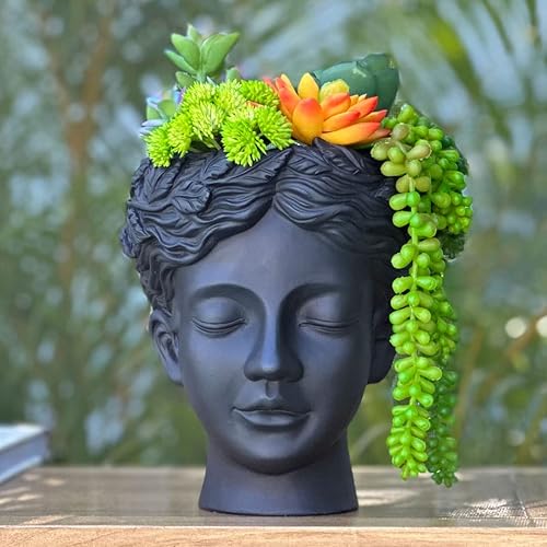 Maceta de cabeza para superficie plana y montaje en pared, estas elegantes macetas para plantas vienen con accesorios para colgar en la pared y