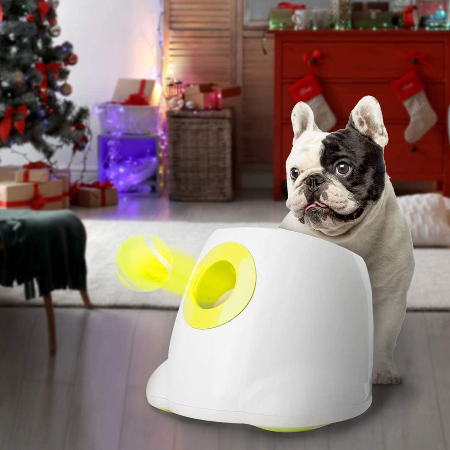 All for Paws Dog Automatic Ball Launcher for Small Dogs, Dog Tennis Ball Throwing Machine, 3 Balls Included (B074FWSFRM) Amazon Price History, Amazon Price Tracker
