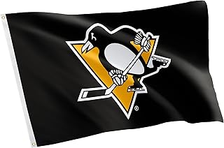 Desert Cactus Pittsburgh Penguins Flag NHL 100% Polyester Indoor Outdoor 3x5 feet National Hockey League Team Flags (Design #2)