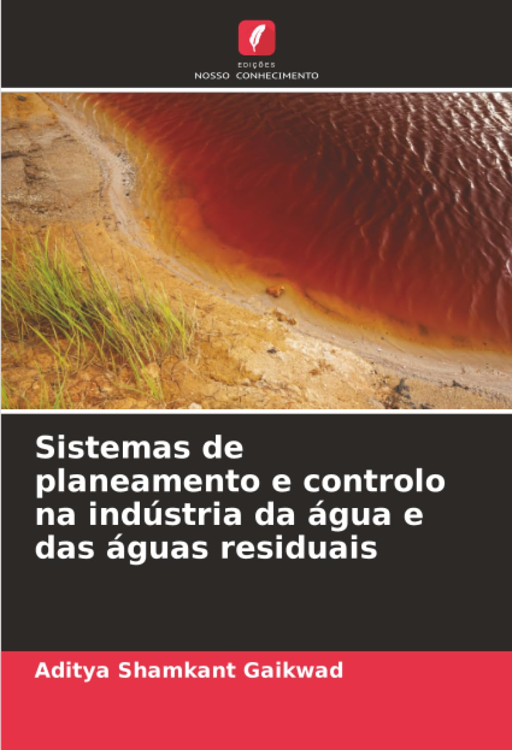 Sistemas de planeamento e controlo na indústria da água e das águas residuais