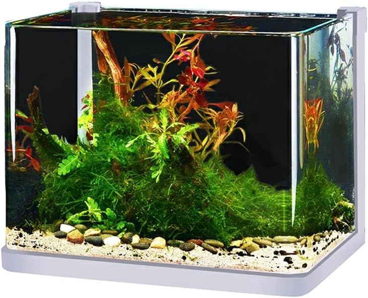 LUCBEI Pecera Tanque de Pescado de Vidrio Pequeño huésped de invitado Creativo Acuario Acuario Acuario Tanque de jardinería Lucha Pescado Tortuga Tanque Acuario De Peces