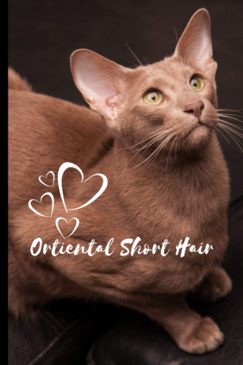 Oriental Short Hair Cat Notebook For Cat Lovers: Composition Notebook 6x9" Blank Lined Journal