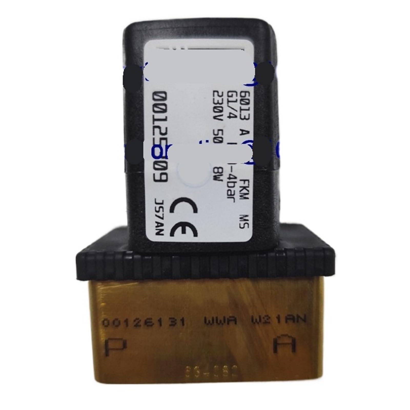 CJKXPZMH Direct-acting Solenoid Valve 6013 A 4.0 G1/4 230V 50Hz 8W 00125309