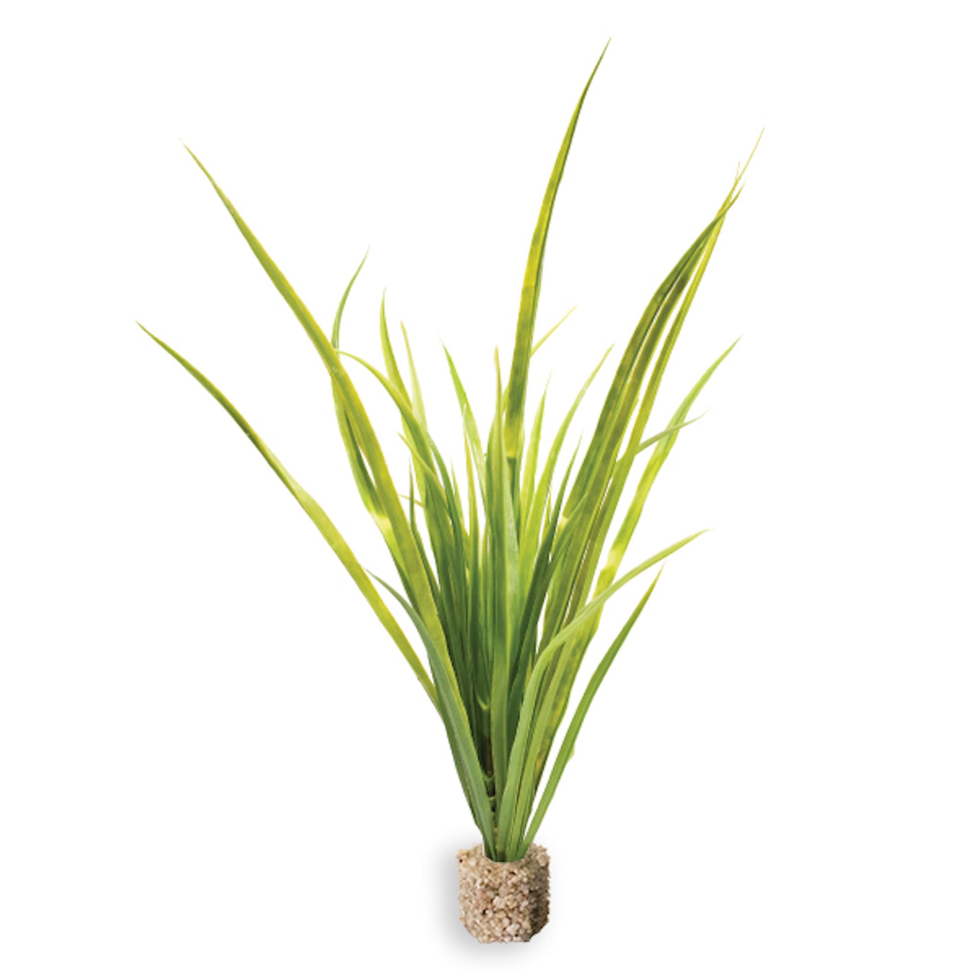 Vita Aquascape Collection Décoration d'aquarium artificielle – Plantes ultra réalistes et feuillage réaliste pour aquariums et terrariums (2, herbe de fontaine verte moyenne)