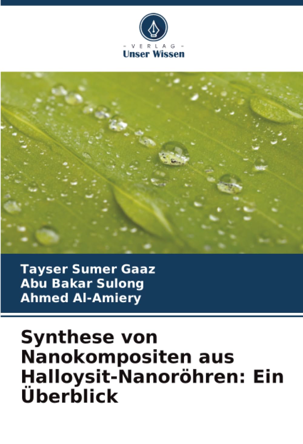 Synthese von Nanokompositen aus Halloysit-Nanoröhren: Ein Überblick