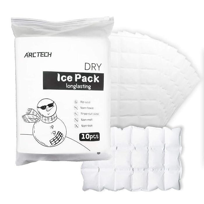 Buy ARCTECH Dry Ice Packs for Coolers Lunch Box Shipping Frozen Food