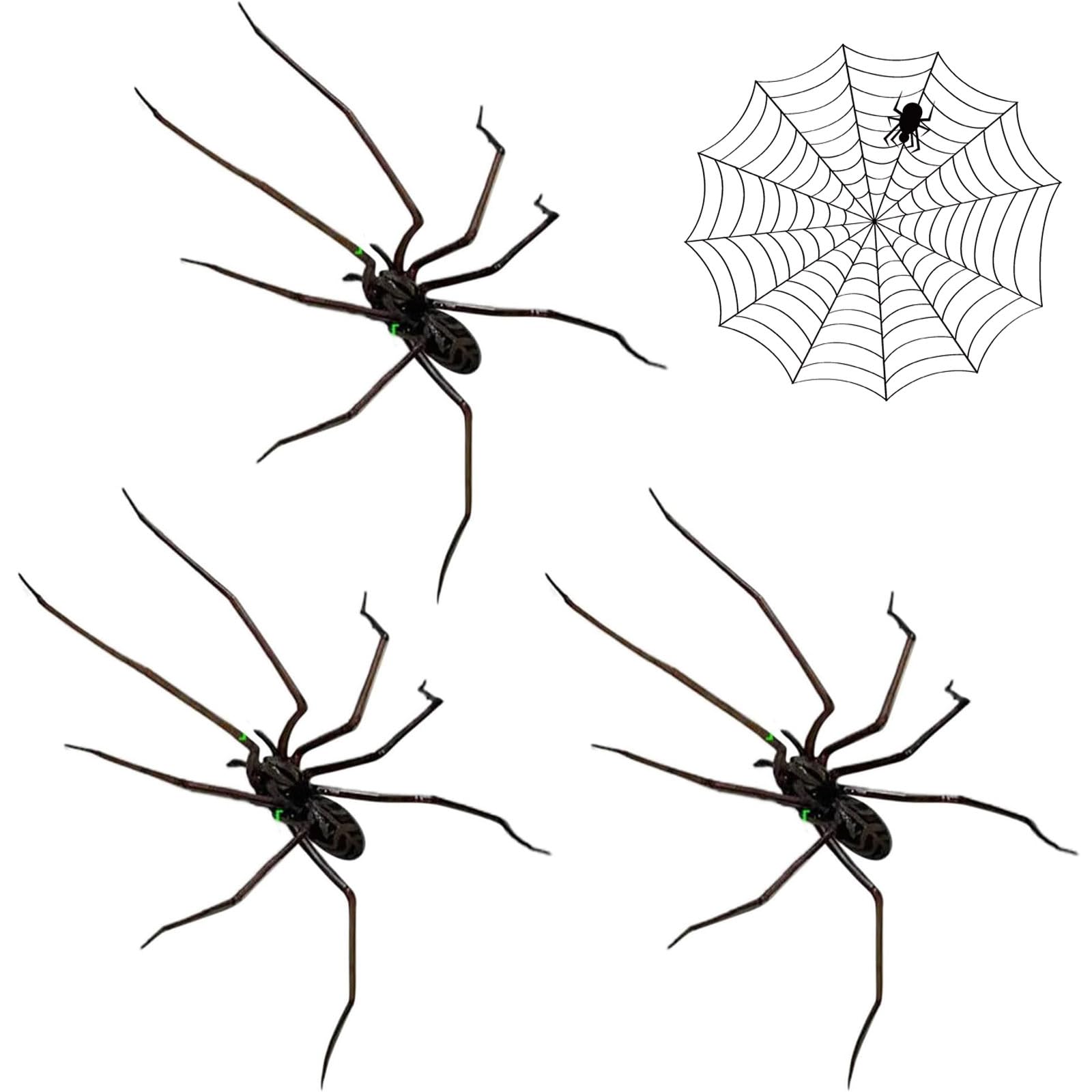 3D Spider Fridge Magnet, Strong Hold Realistic & Cute Magnetic Decor, Detachable Fridge Magnets Funny Pranks Gifts for Fridge, Car, Kitchen Office School (*3)
