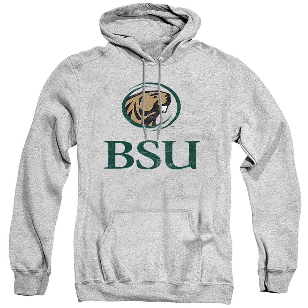 LOGOVISION Official Collegiate Distressed Primary Logo Adult Pullover Hoodie Collection — view 173