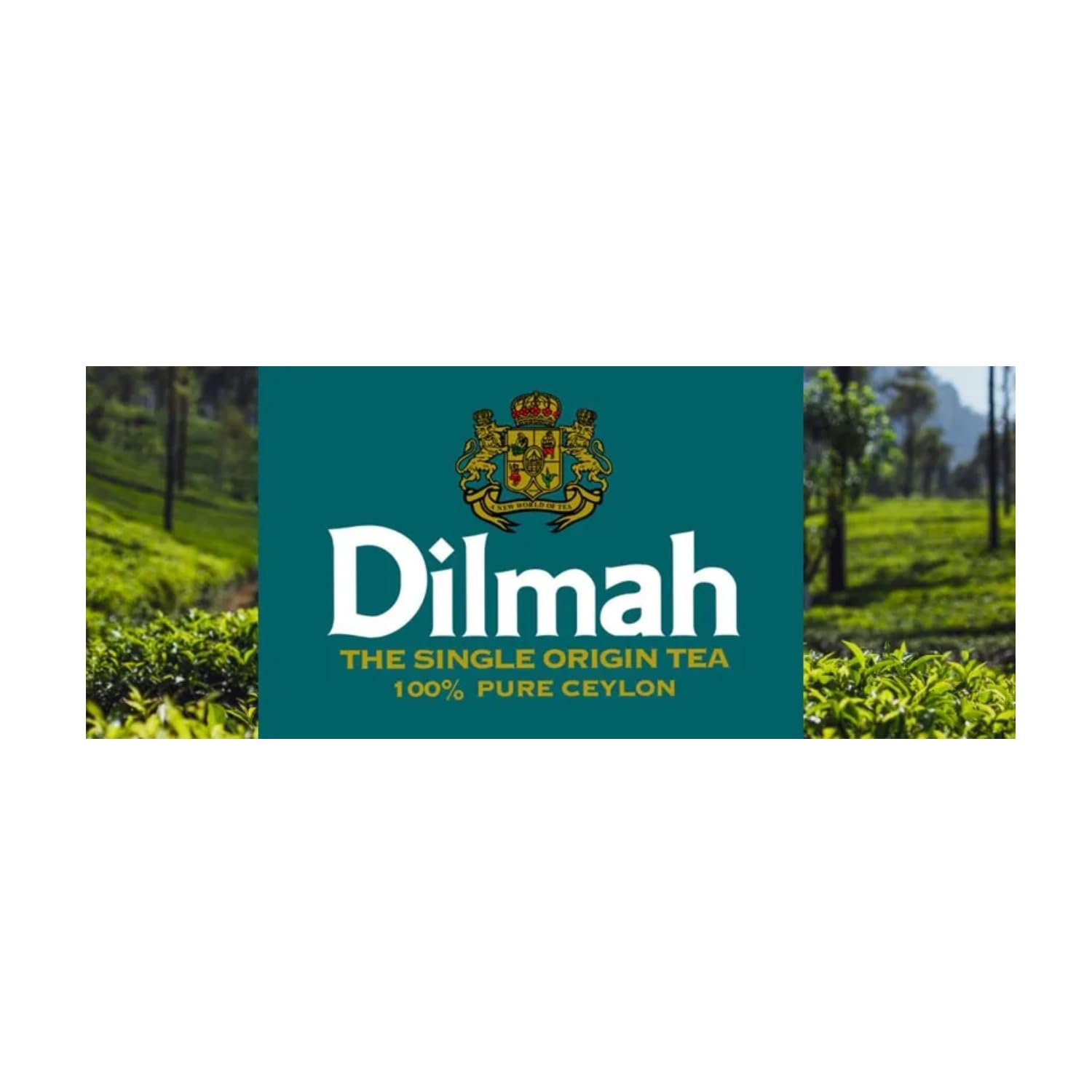 Dilmah® | Puro Tè Verde e Menta Marocchina | Tè Verde Ceylon e Foglie Menta Piperita - 20 Bustine di Tè (30 Gr)