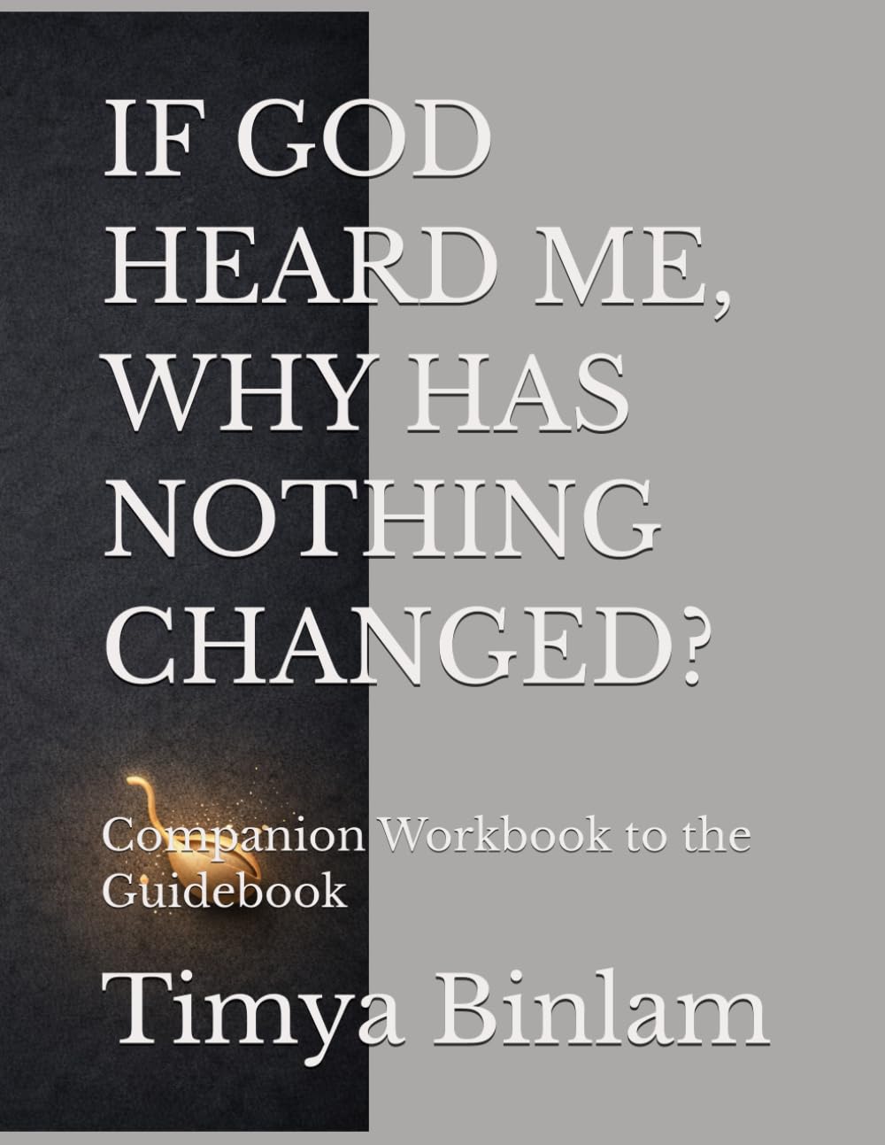 IF GOD HEARD ME, WHY HAS NOTHING CHANGED?: Companion Workbook to the Guidebook