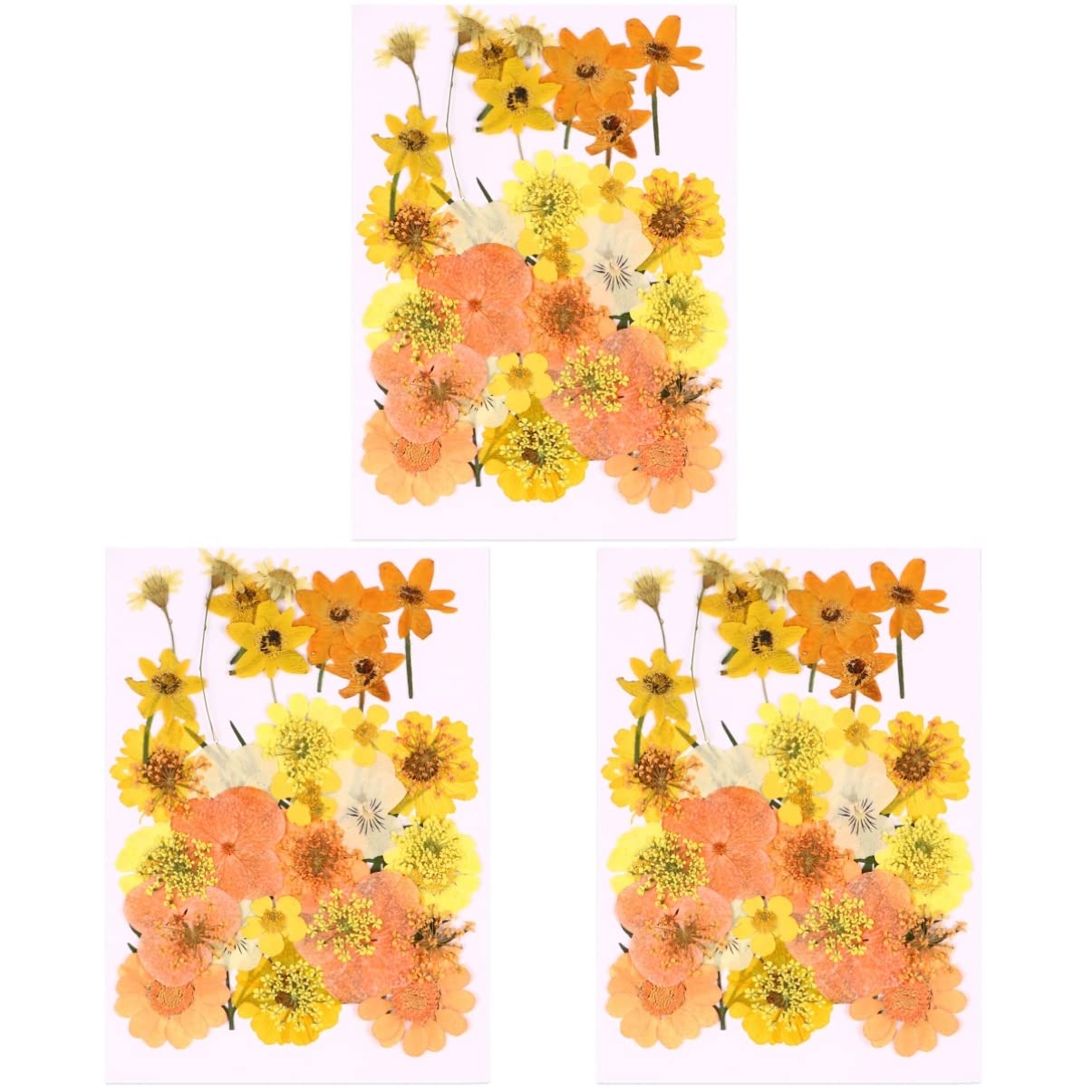 Stickers fleurs séchées pressées orange pour scrapbooking résine et matériel créatif DIY