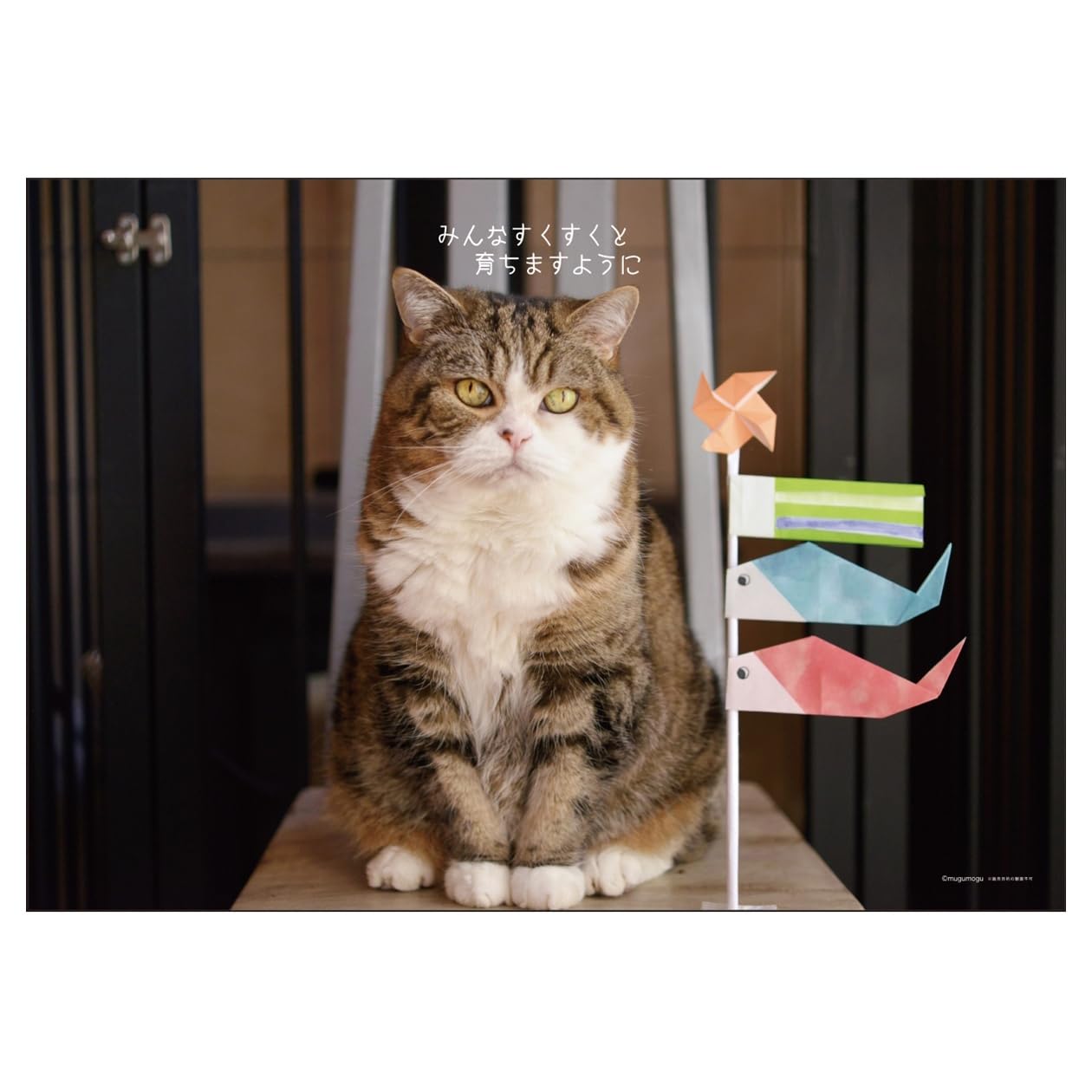 Amazon | 2026年カレンダー まるちゃん | カレンダー | 文房具