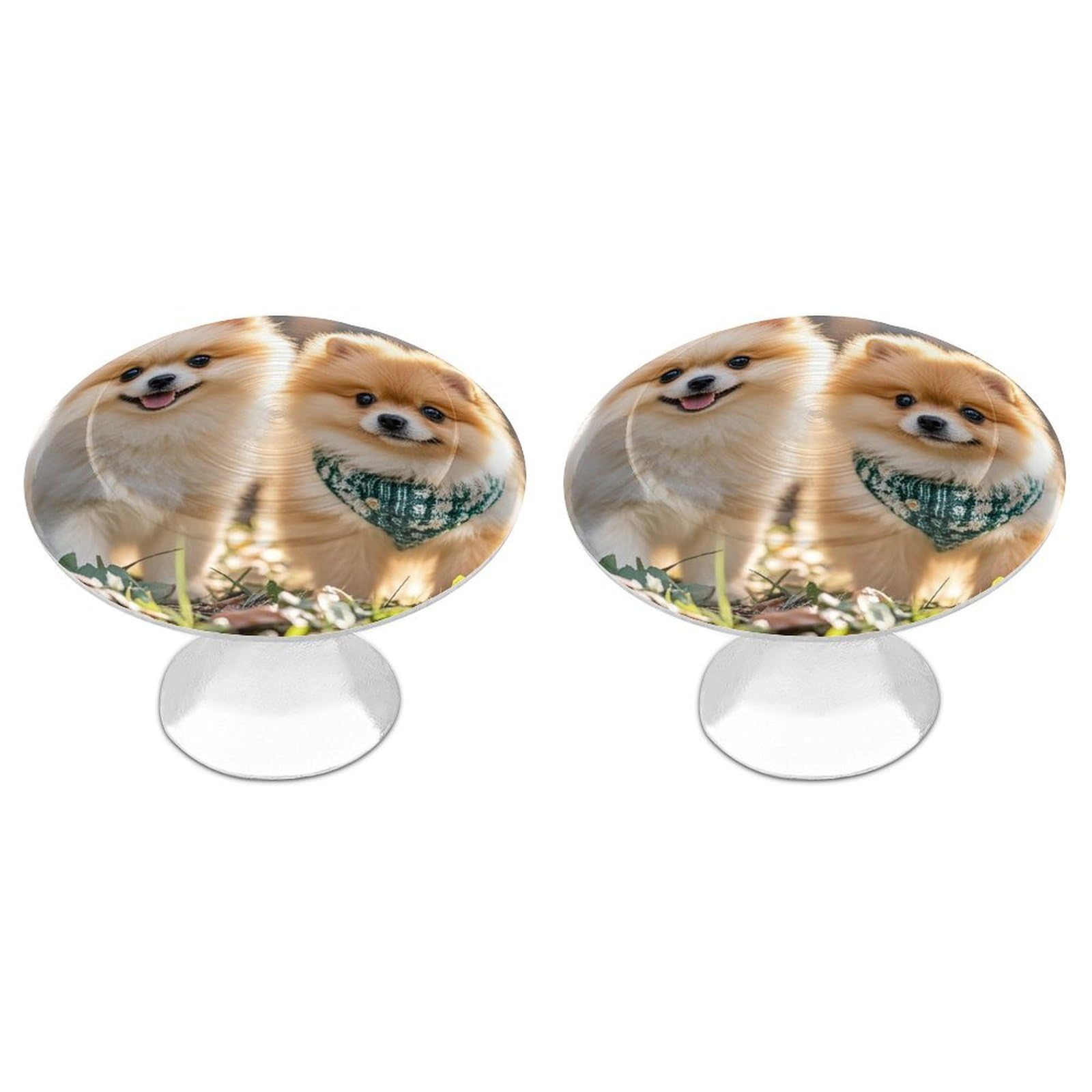 FekiLoot Round Cabinet Knob 2 Pack Kitchen Drawer Knobs Stainless Steel Round Drawer Pulls Modern Cabinet Hardware Pomeranians Puppies Drawer Hardware for Dresser Closet Door Knobs