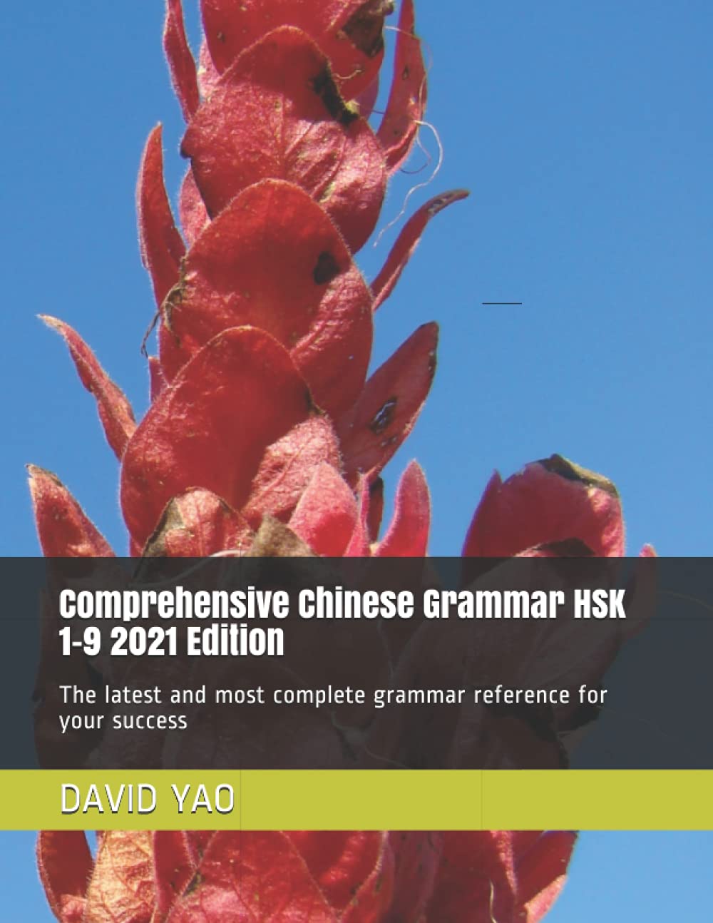 Comprehensive Chinese Grammar HSK 1-9 2021 Edition: The latest and most complete grammar reference for your success