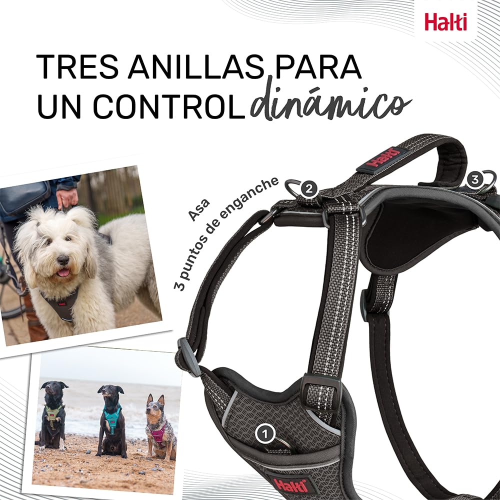 Arnés de Perro HALTI Anatomy con asa - Proporciona Libertad de Movimiento a tu Perro para Que pasee cómodamente. 3 Puntos de Enganche y Acolchado de Neopreno, Ajustable y Reflectante (Talla S, Gris)