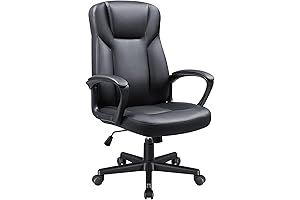 Exceptional Executive Office Chair: Powerhouse 300LBS Heavy-Duty Office Support