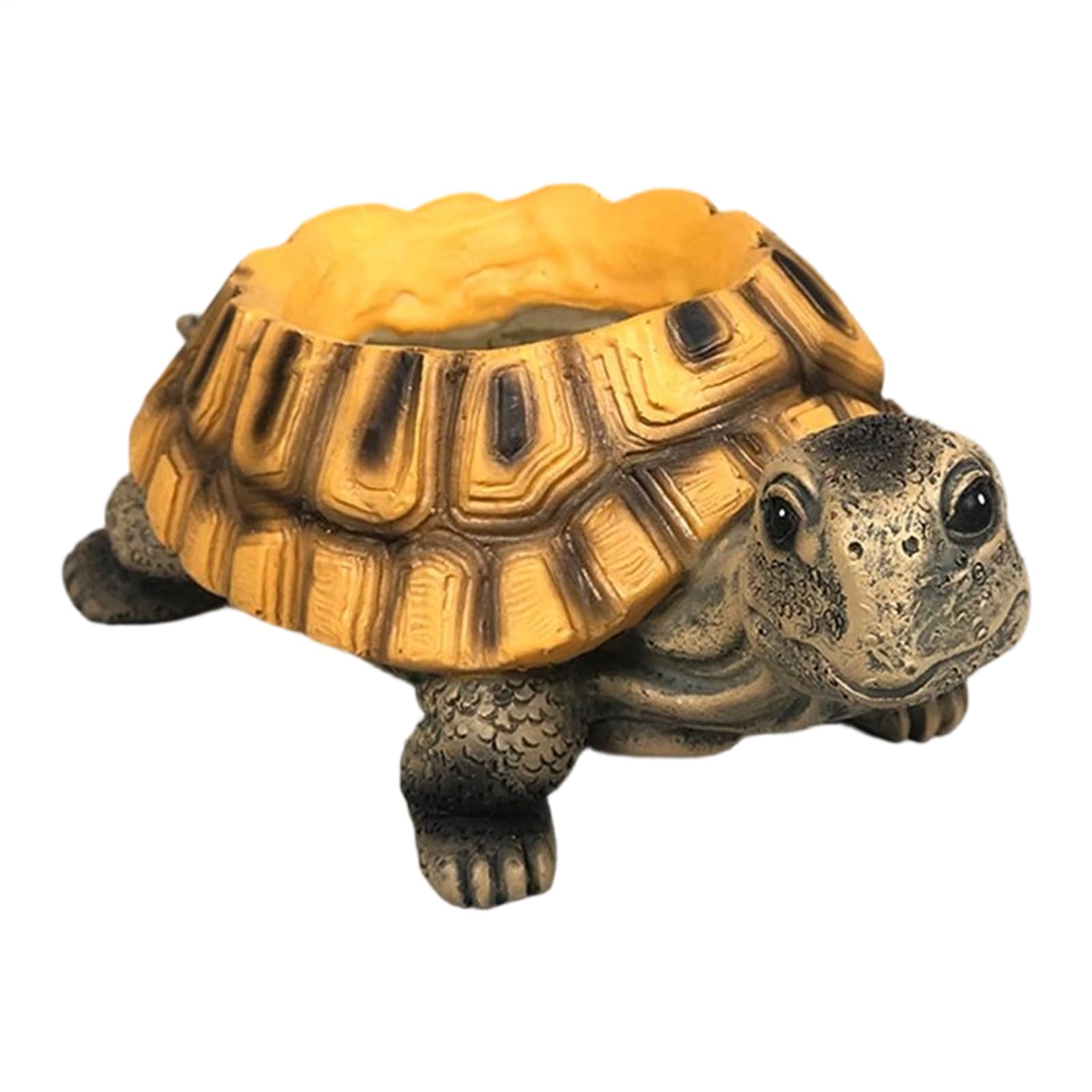 Récipient fleurs tortue en résine pour décoration intérieur