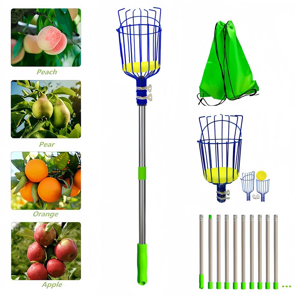 Cueilleur de Fruits Extensible cueillant des Pommes poires Oranges pour cueilleur Outil de cueilleur de Fruits avec Panier de préhension en Acier au Carbone, 3.2 m
