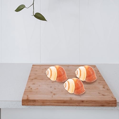 Miniatura 8 de Alipis 5 piezas de caracol real Escargot caracol francés resistente al calor seguro para horno microondas para decoración de restaurante
