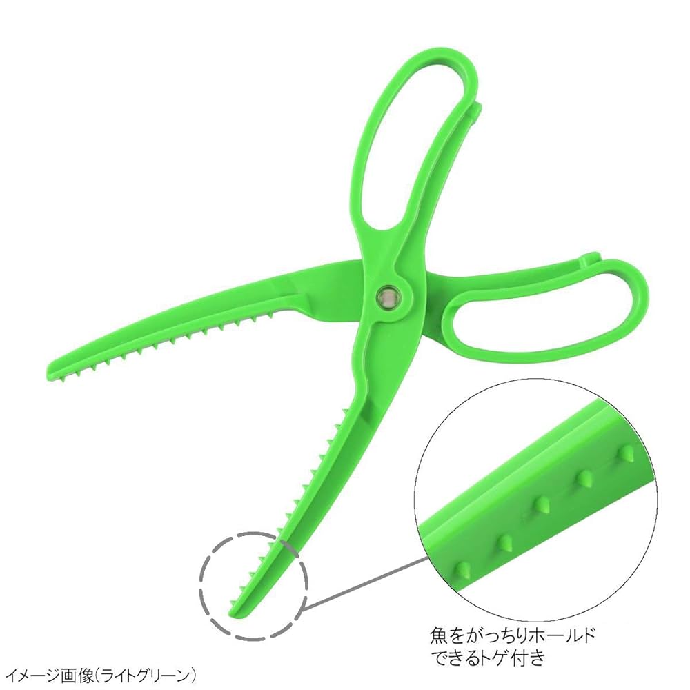 【ミッキー⚠大阪府】貝殻のように丸まる葉が魅力♪コーセーチャメドレア10号 テンヨー 60ピース 子供向けパズル ミッキーと日本地図であそぼ