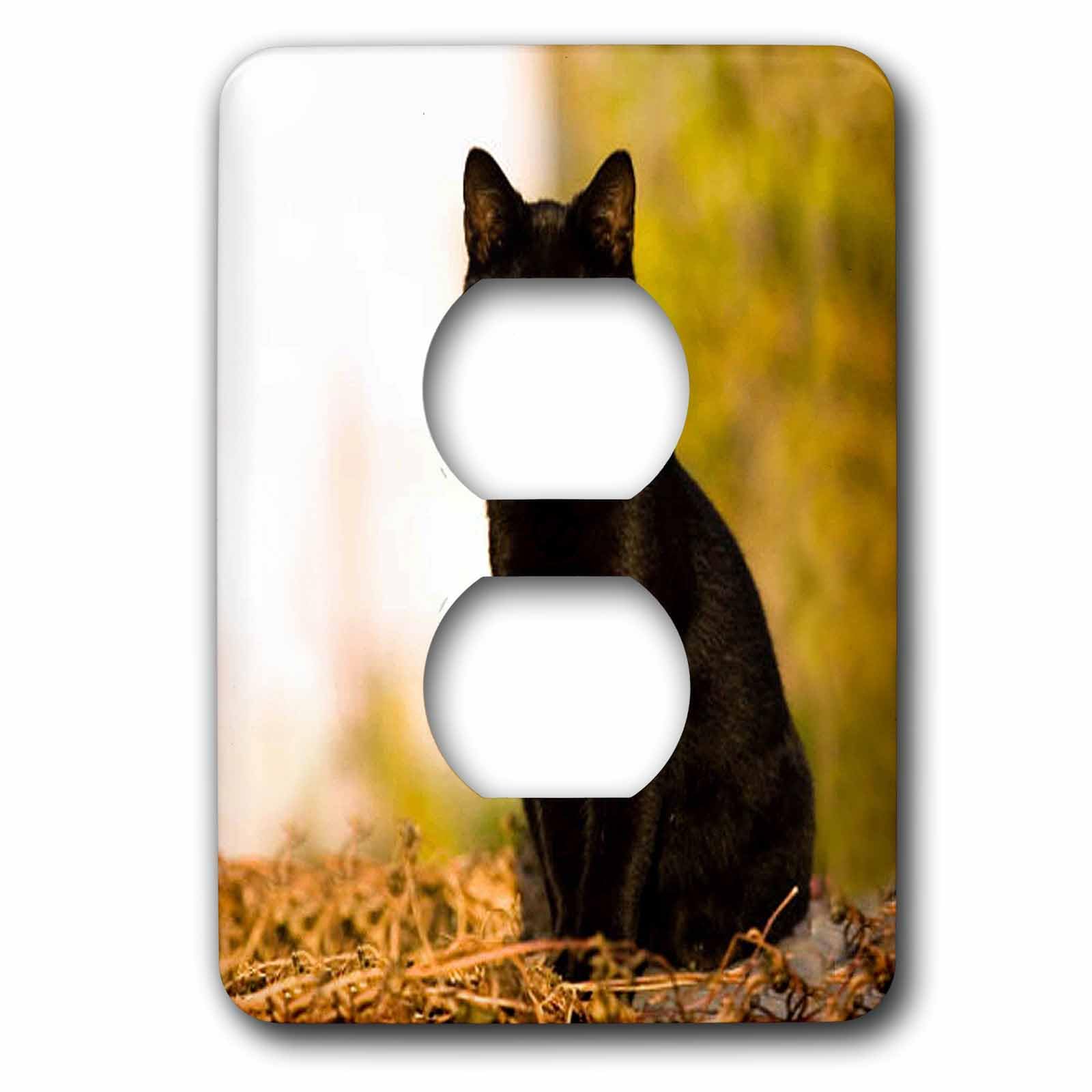 Cache de prise Cat 2 Noir 3dRose lsp_3163_6 pour plaque murale interrupteur