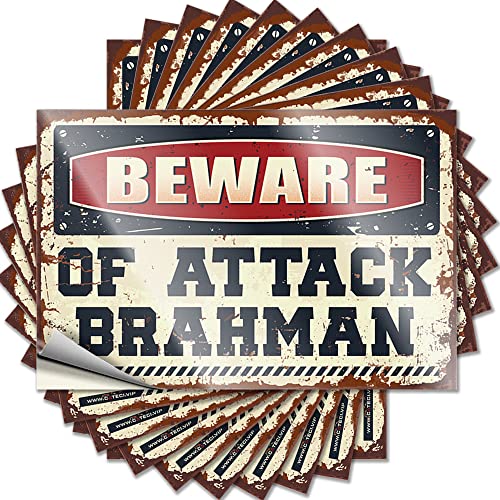 Calcomanías divertidas para coches Beware of Attack Brahman, 10 unidades, calcomanías para casco duro y calcomanías para caja de herramientas (8 x 12 cm)