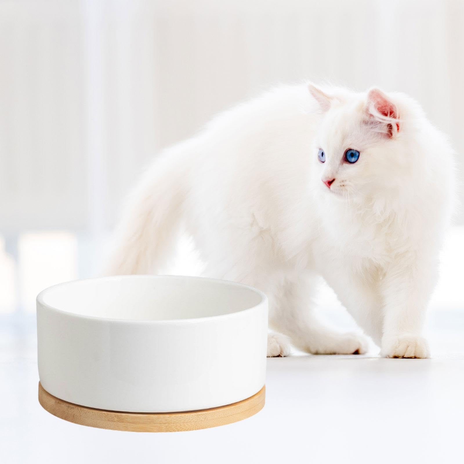 Gamelle Chauffante pour Animaux Tapis Chauffant Électrique Base En Bois Céramique Glacée Contrôle Thermostatique Silencieux Convient Chats Chien, 8x17cm blanc