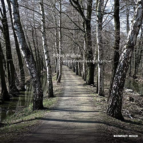 Ricardo Villalobos; Robag Wruhme