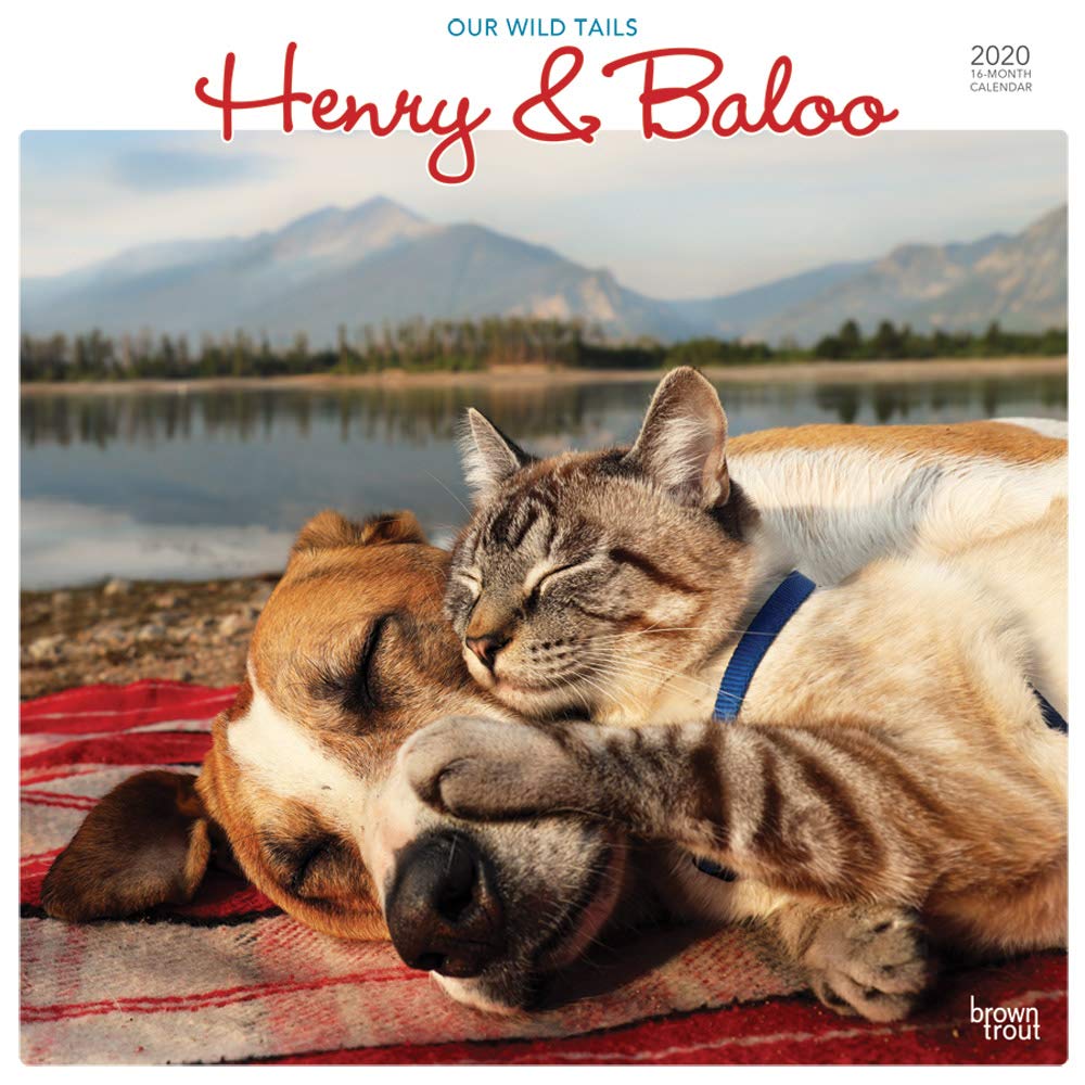Henry & Baloo - Our Wild Tails 2020 12 x 12 Inch Monthly Square Wall Calendar, Outdoor Nature Dog Cat