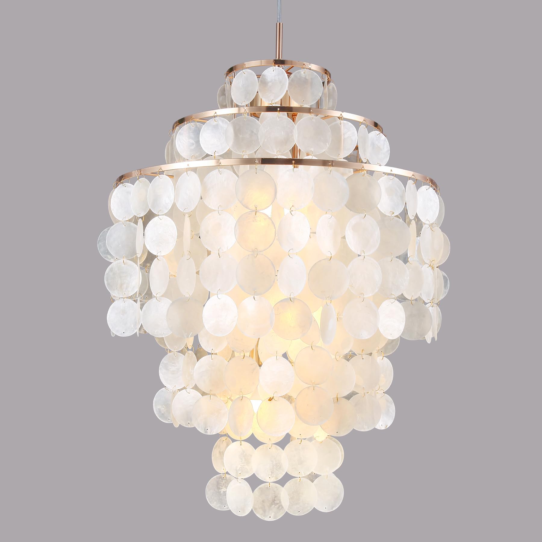 照明 Jewel/CAM/CLSA Brece/CSA Shell/CNAAB Abalone Coastal Beach Capiz Disc Shell Chandelier Medium (21