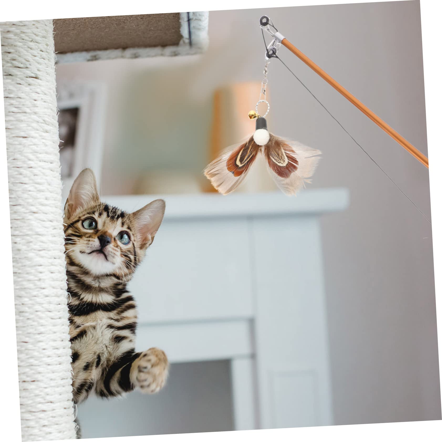 minkissy 30 Pièces Remplacement pour Chat Teaser Suspendus Teaser Chat ER Remplacement ER pour Remplacement