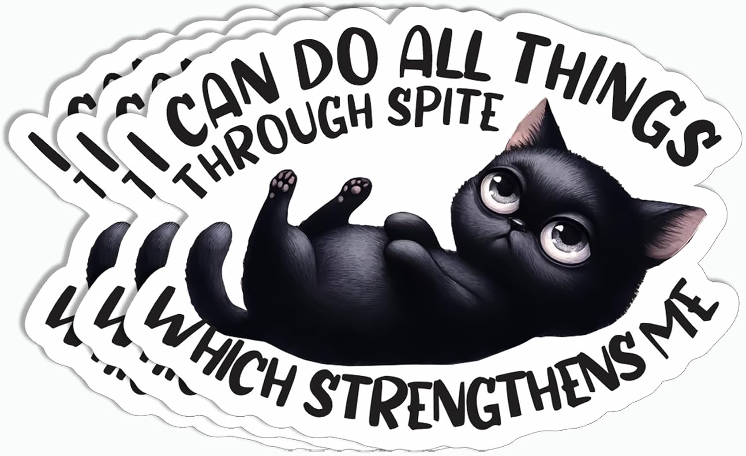 3Pcs - I Can Do All Things Through Spite Sticker - Black Cat Sticker - Sarcastic Saying - Laptop - Kindle - Phone - Water Bottle