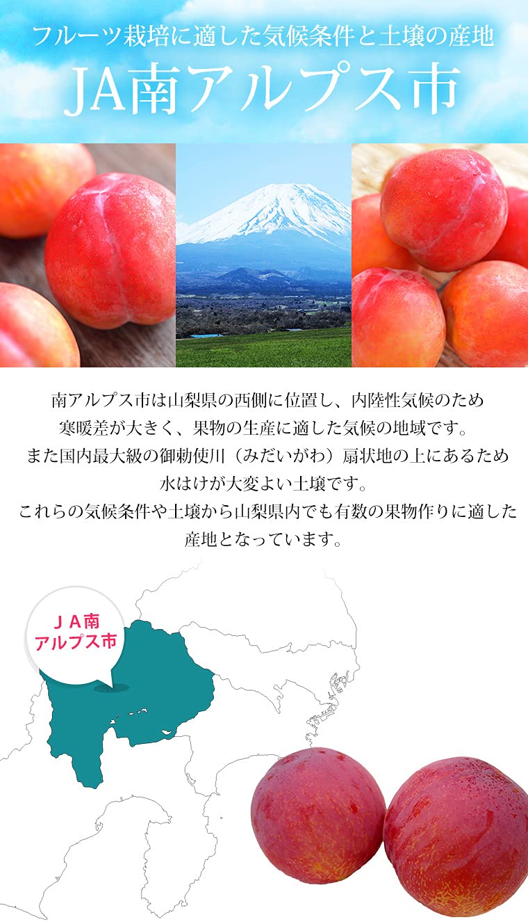 Amazon.co.jp: プラム サマーエンジェル 秀品 約1.5kg 10～13玉 JA