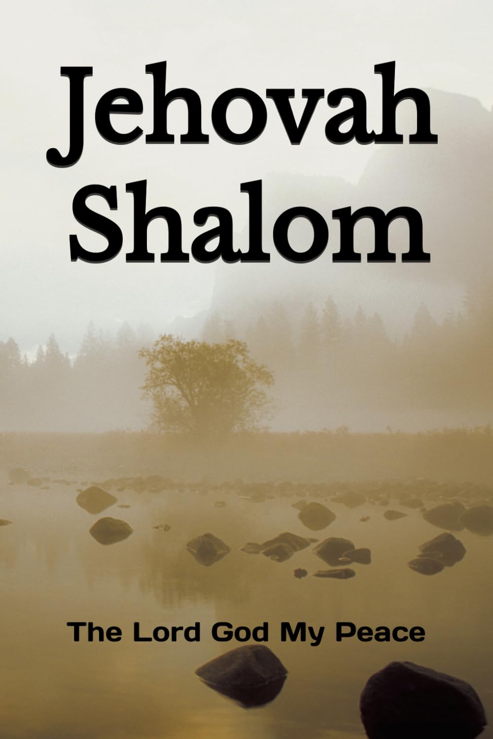 Jehovah Shalom: The Lord God My Peace (The Names of God)
