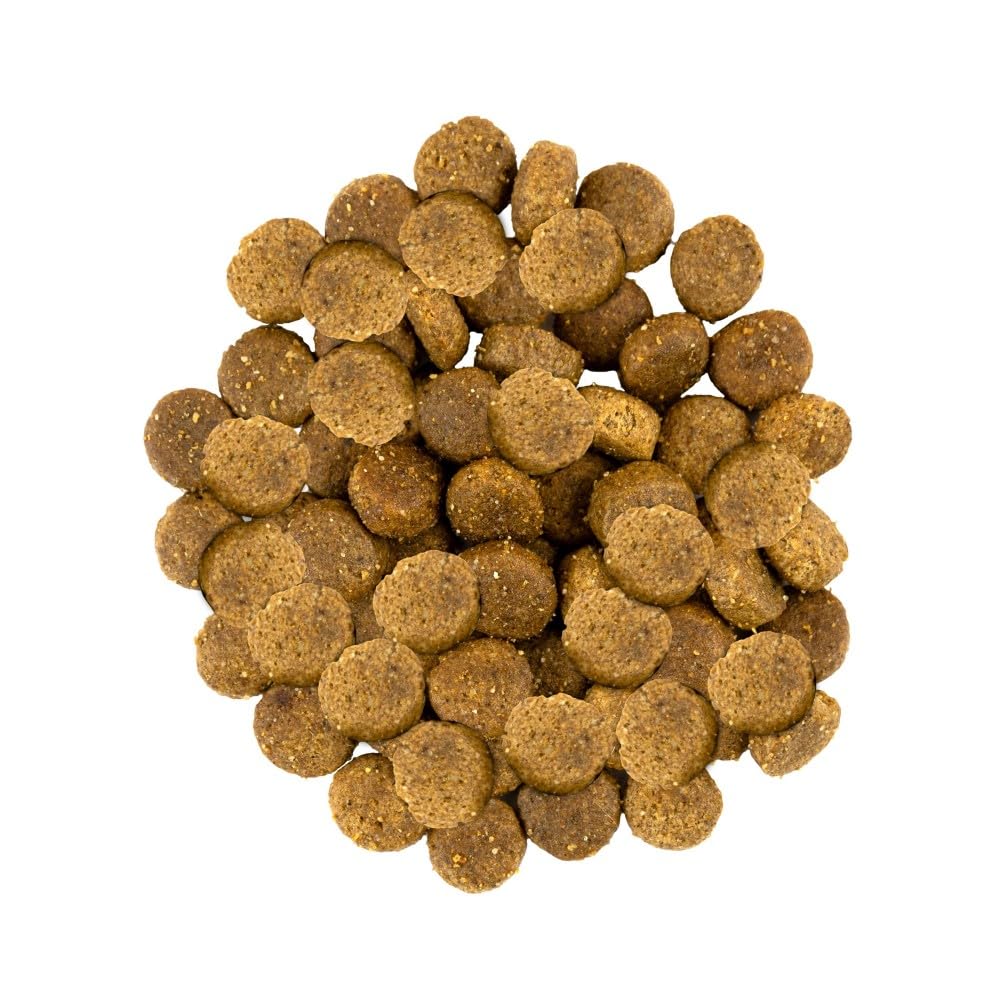 SAVORY Dog Gourmand Fresh - Holistyczna sucha karma dla psów - Mieszanka prebiotyków, probiotyków i minerałów - zdrowa karma - Rasy średnie - Indyk i jagnięcina - 12 kg