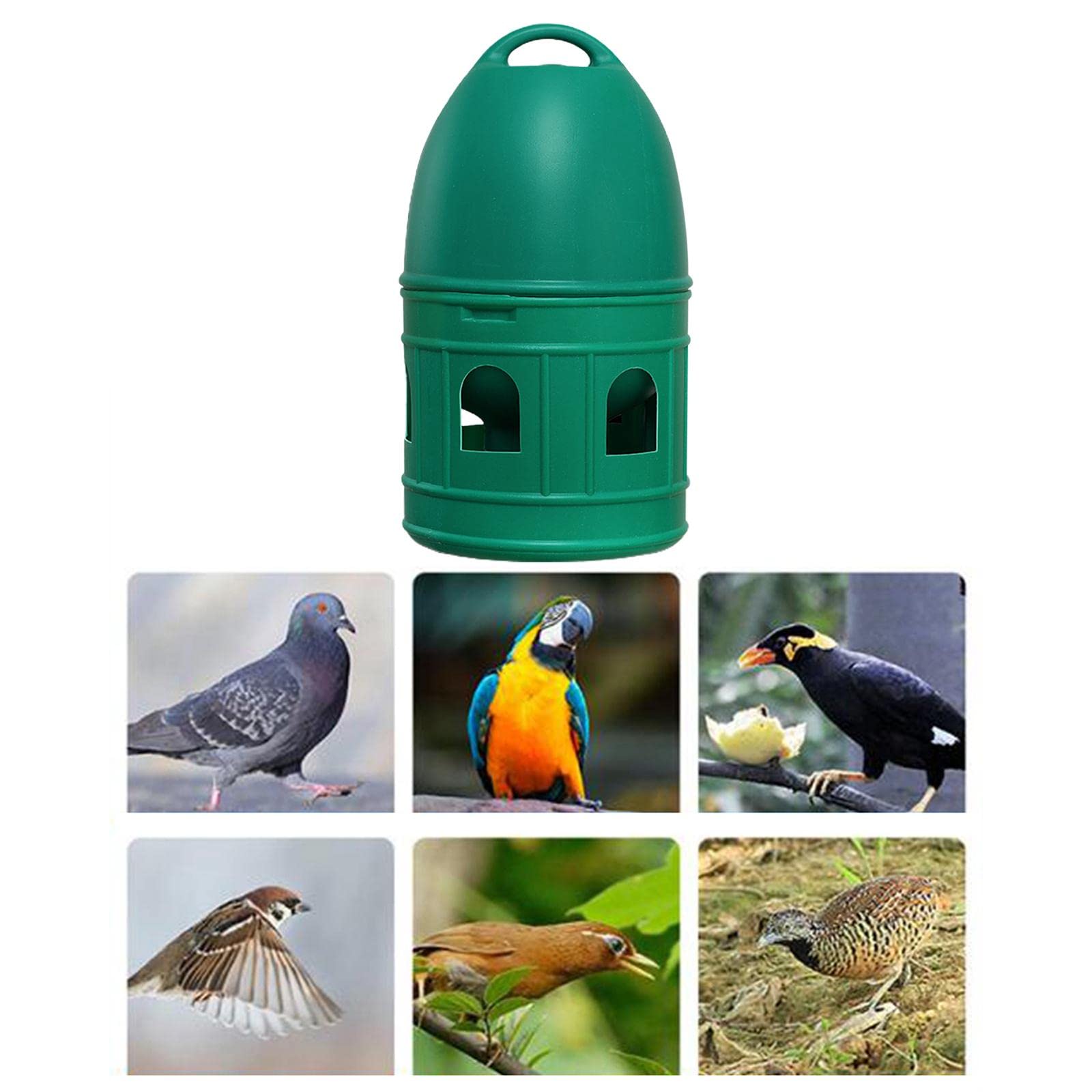 Distributeur d'eau, Abreuvoir pour Oiseaux, Mangeoire, Accessoires pour Cage à Oiseaux avec Poignée de, Vert 5L