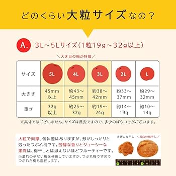 熱中症予防 梅干し 完熟 紀州南高梅 塩分 3% はちみつ梅 減塩 400g×5 熱中症予防 梅干し 完熟 紀州南高梅 塩分 3% はちみつ梅 減塩