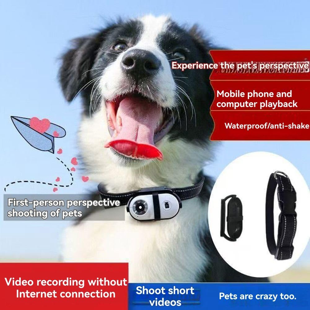 Wasserdichter 4G Haustier-Tracker -Kamera -Halsband Tracking Videoaufnahme für Hunde Katzen Outdoor-Abenteuer