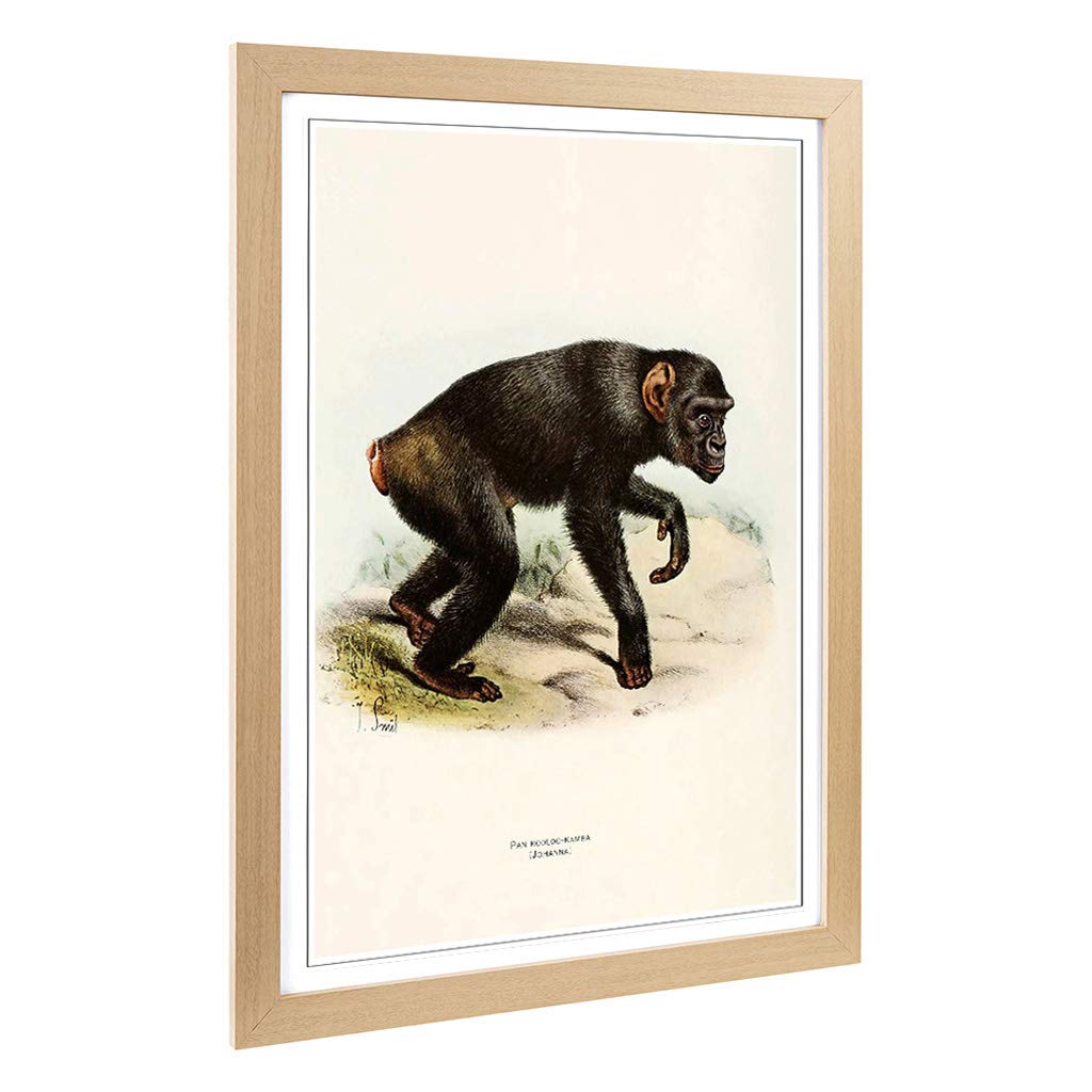 Big Box Art Framed Print of Vintage Smit. Joseph Kooloo Kamba Design | Wall Art Picture | Home Decor for Kitchen, Living Room, Bedroom, Hallway, Oak, A2 / 24.5x18 Inch / 62x45cm