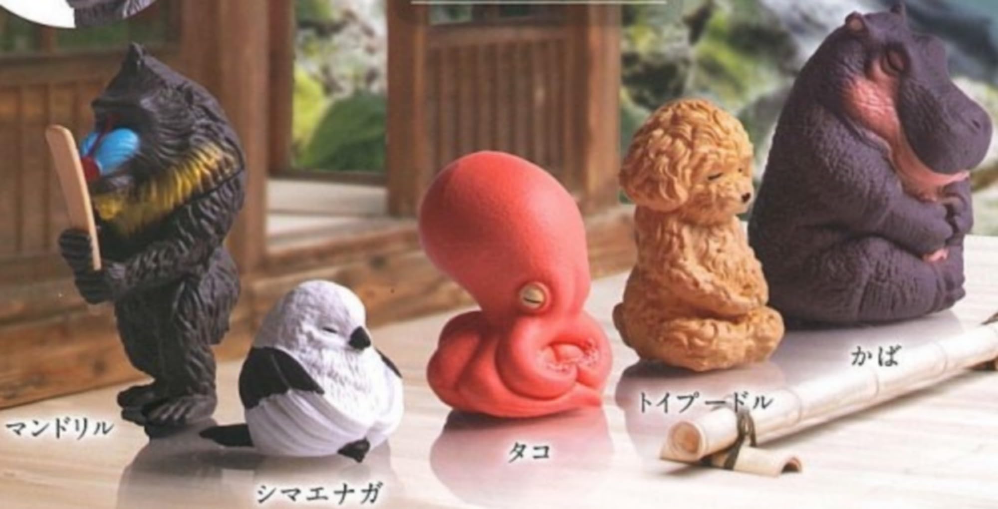 Amazon | エール 座禅 ZAZEN 其の二 × 全5種セット フルコンプ