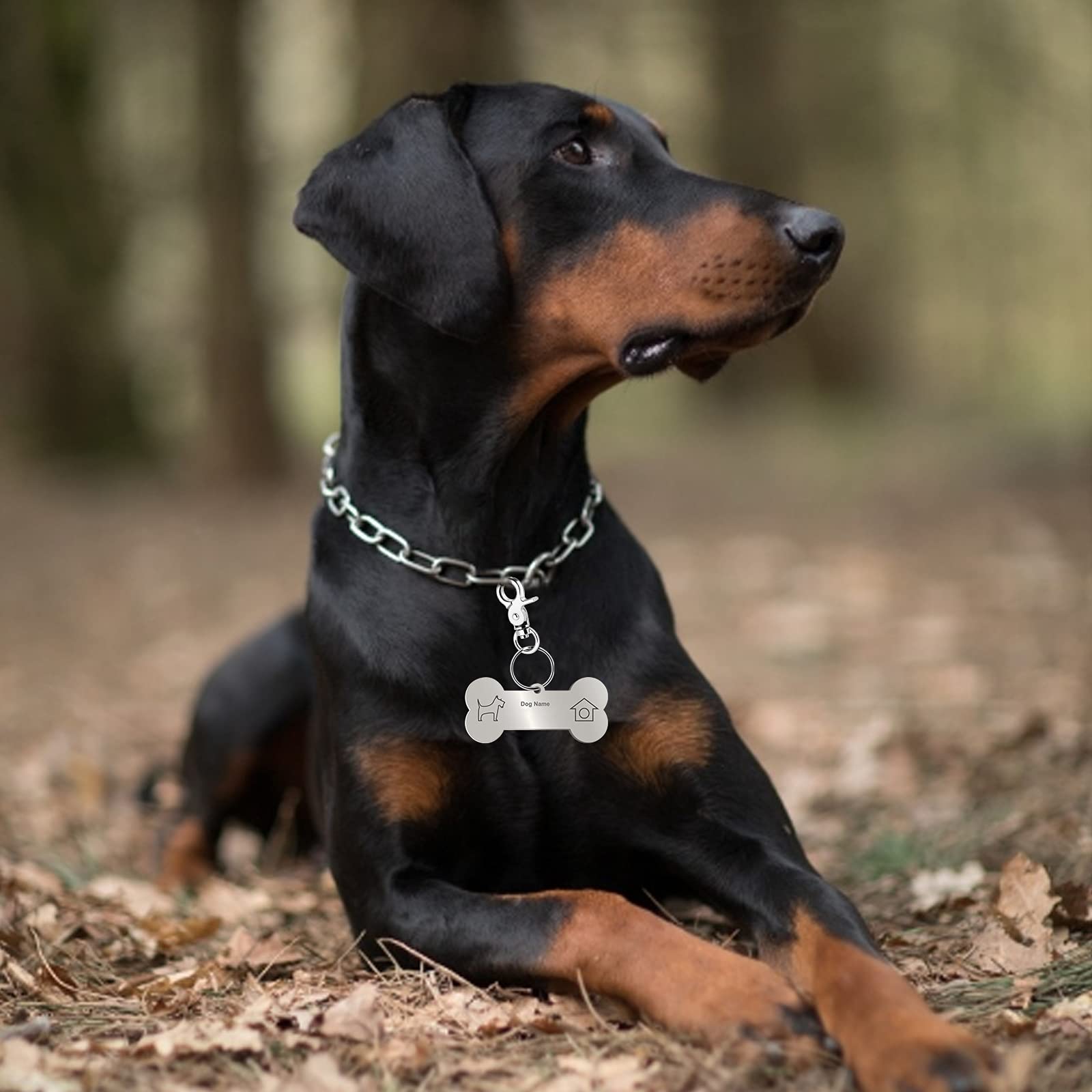 Molain 4 set hondenpenningclips met 10 stuks hondenpenningringen, duurzame ID-tag met ringen voor honden en katten halsbandharnassen
