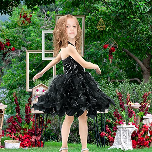 Leegleri Black Tutu Princess Dress For Girls Black Costume For Girls,Tulle Sequin Willow Outfit Gift Dress For Birthday Party 10T #TOP7
