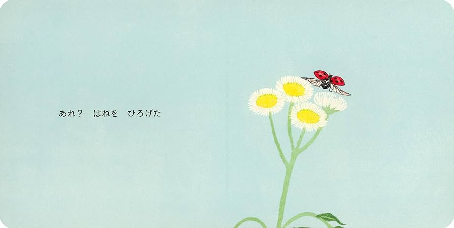 かがくのとも　てんとうむしの絵本　テントウムシのいちねん　はっぱのうえに　福音館 かがくのとも てんとうむしの絵本 テントウムシのいちねん