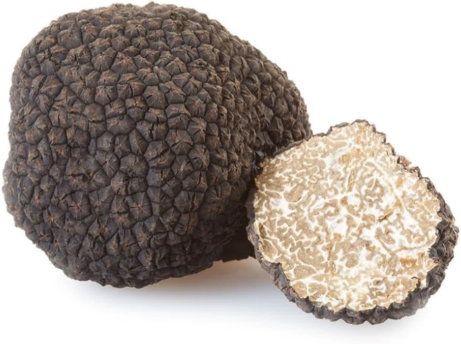 Fresh Black Summer Truffles 100 g. / 3.5 oz. / Fresh Scorzone Truffle (Tuber Aestivum)