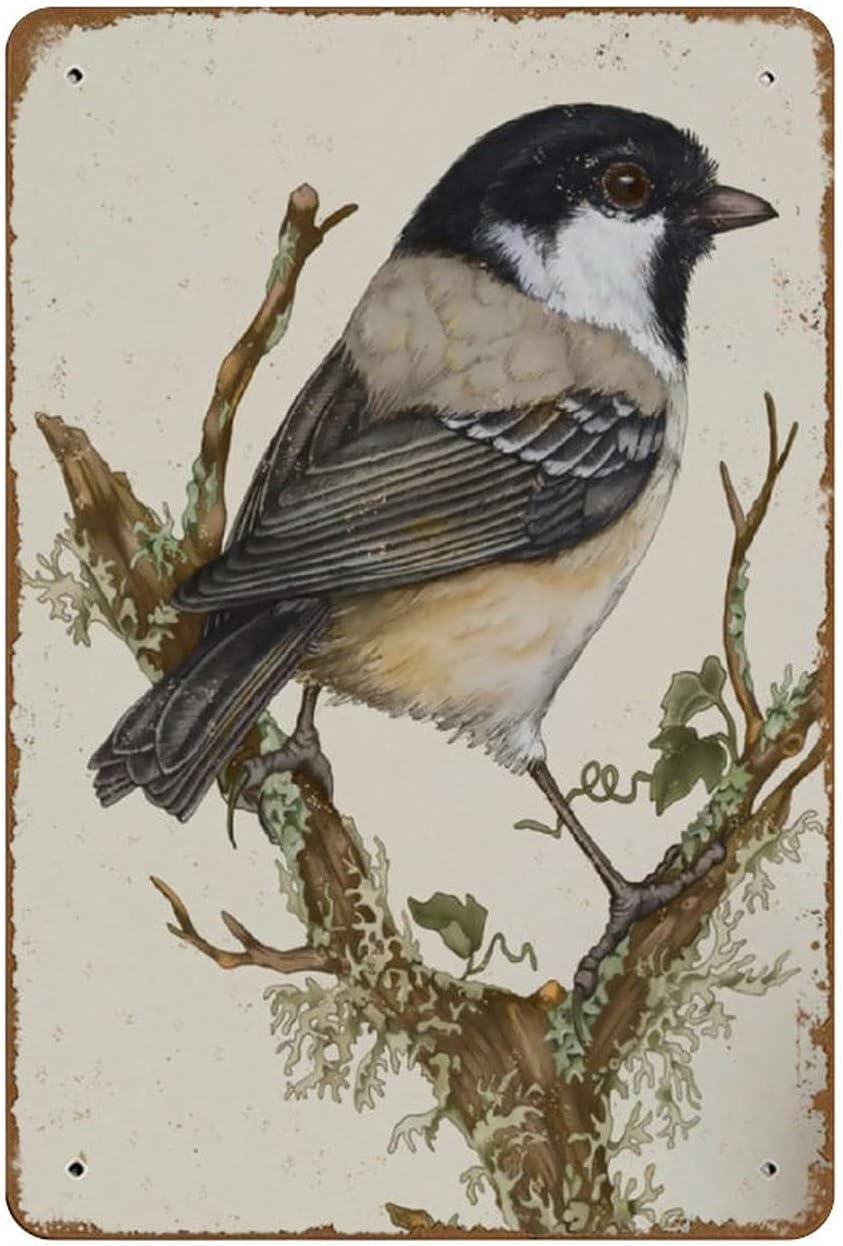 Chickadee Bird Illustration Print Art Wildlife Nature Coal Tit Wall Artnovelty Retro Metal Tin Sign Plaque Bar Pub Club Cafe Home Decor 8x12 Inch - Home Decor