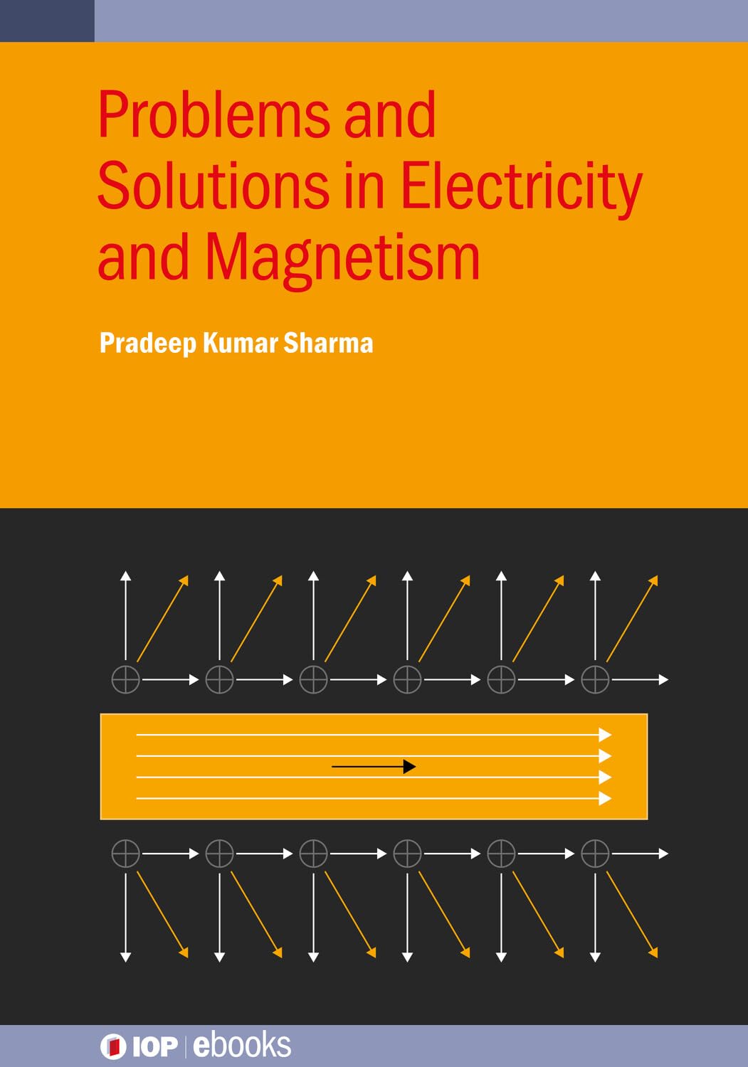 Problems and Solutions in Electricity and Magnetism (IOP ebooks)