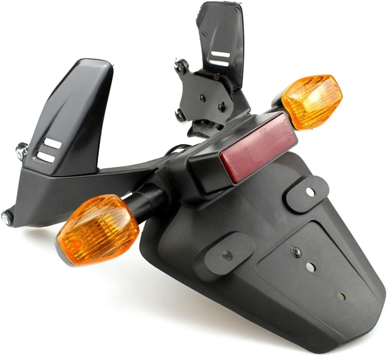 スキンダプサス バクダパティ斑入りC1 ホワイトクリスタルのおまけ付き