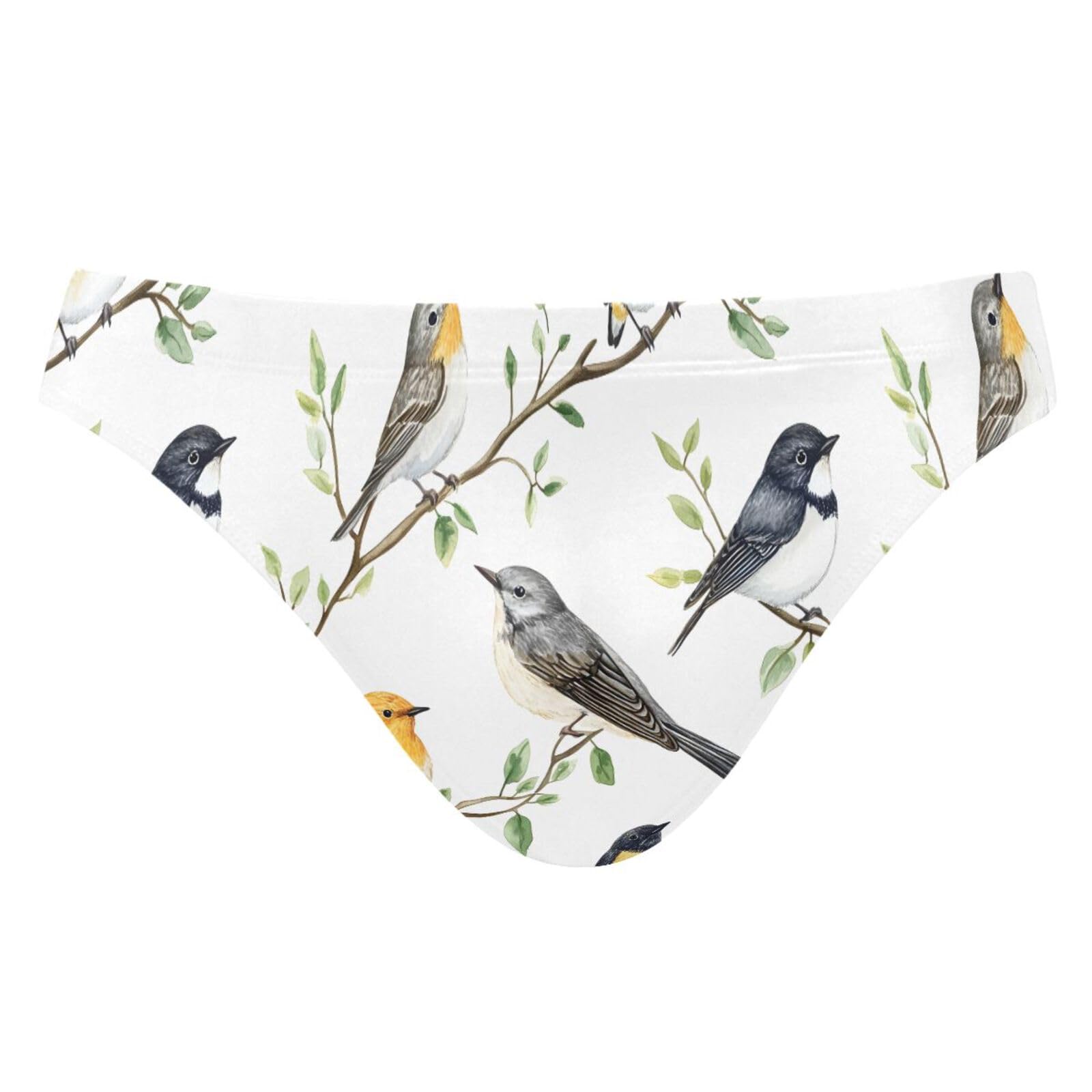 Mens Bikini Swimwear Spring Birds Swimsuits for Men XXXL 202b8310