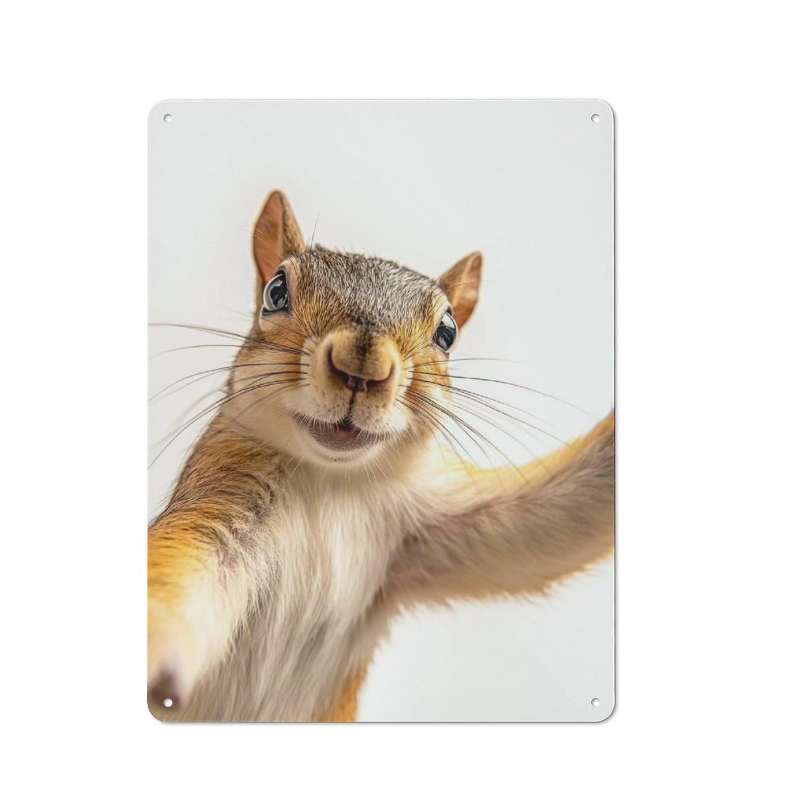 Junmoney Quirky Squirrel Taking Selfie - Cute Wall Art Tin Wall Plaque 40X30cm With For Guest Room Or Hallway, For Metal Sign Collectors, For Garage And Workshop Walls