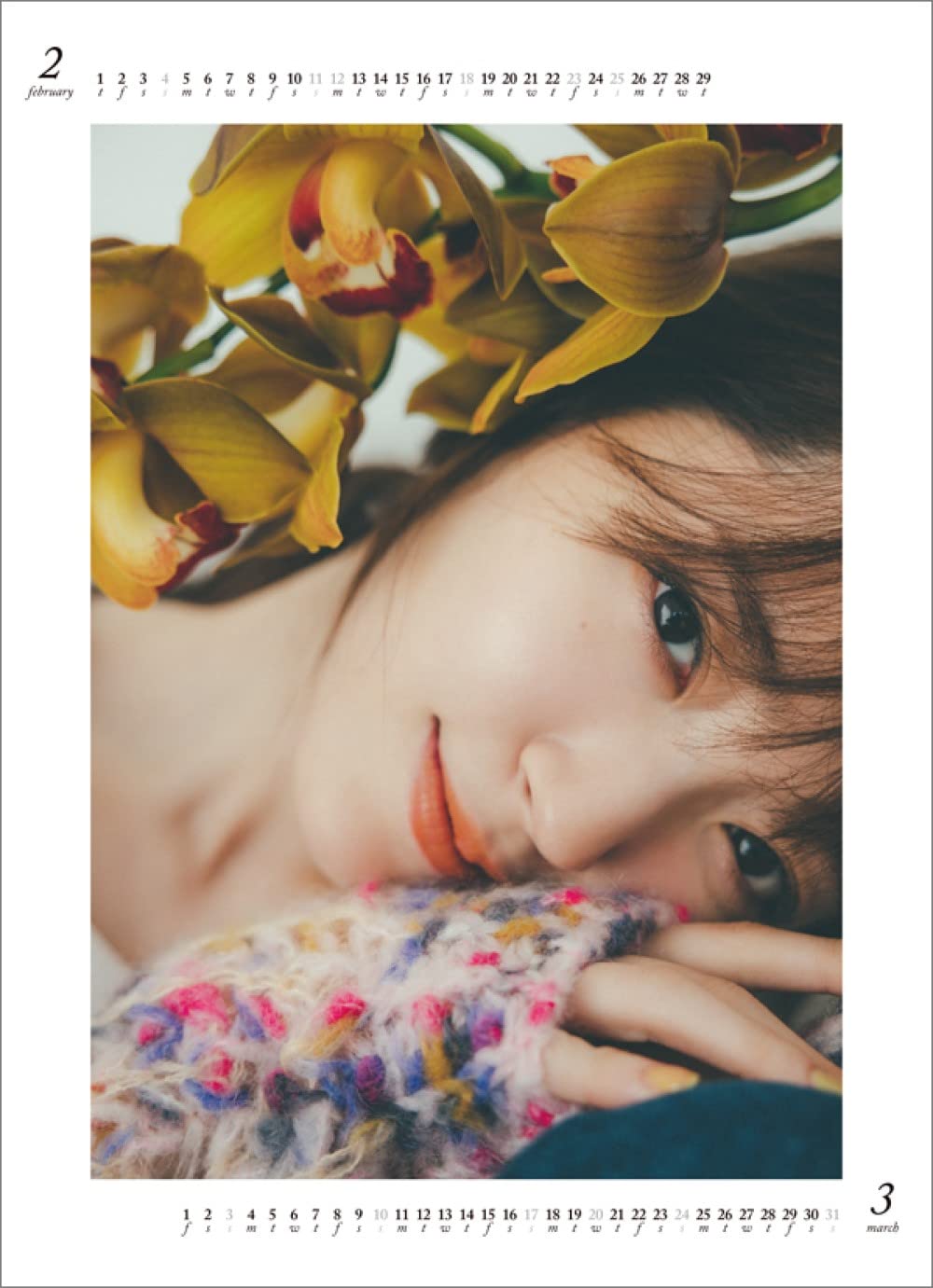 Amazon.co.jp: ハゴロモ 鈴木愛理 4月始まり 2023年 カレンダー 壁掛け